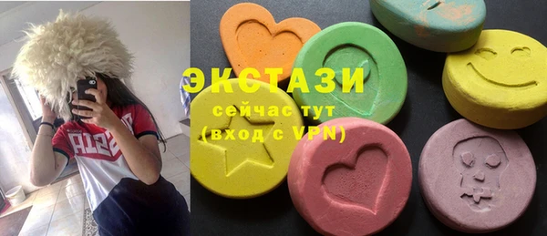 амф Гусев