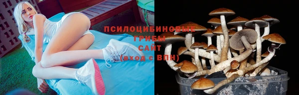 мет Гусь-Хрустальный