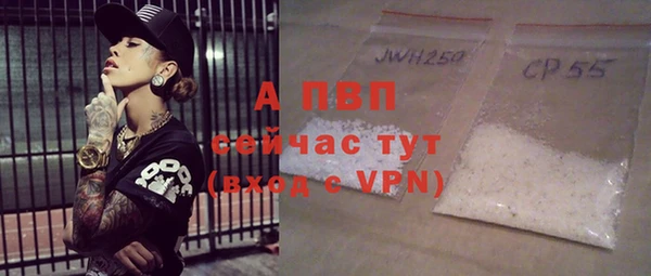 амф Гусев