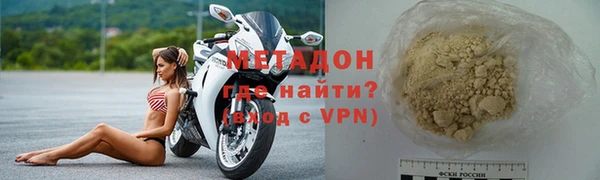 амф Гусев