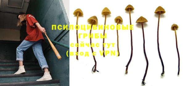 apvp Гусиноозёрск