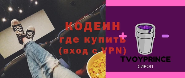 амф Гусев