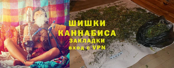 apvp Гусиноозёрск