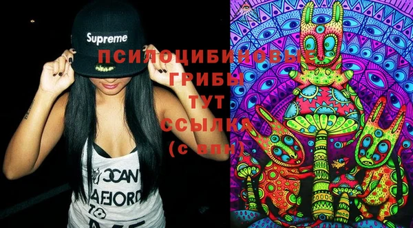apvp Гусиноозёрск