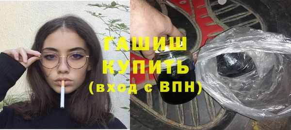 амф Гусев