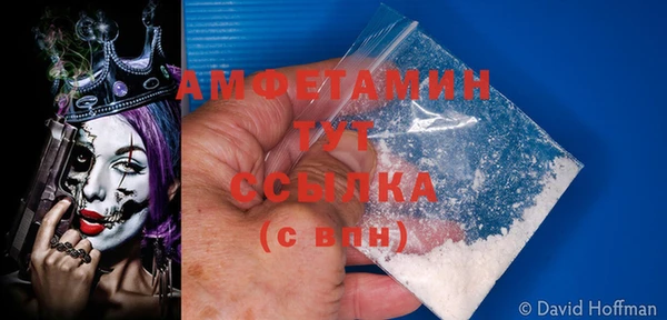 амф Гусев