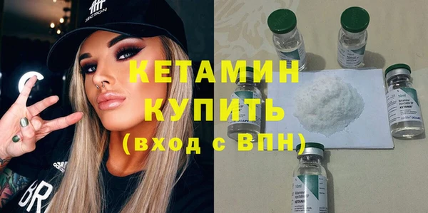 амф Гусев