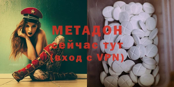 амф Гусев