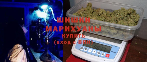 амф Гусев