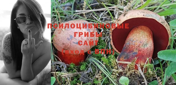 амф Гусев